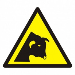 Ostrzeżenie przed bykiem